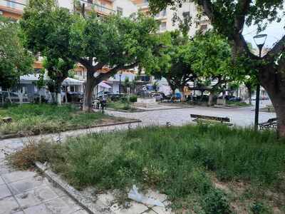 σπιράλ: Χορτάρια παντού, αντίδραση καμία