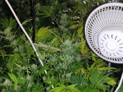 Συνελήφθησαν στην Πατρών- Πύργου για καλ...