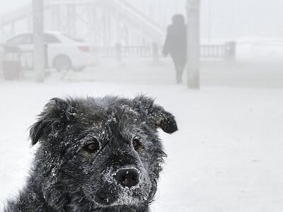Αυτό είναι το πιο παγωμένο χωριό στον κόσμο