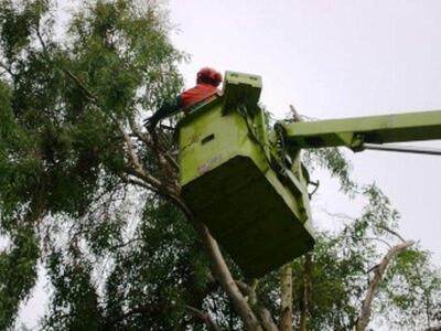 Πάτρα: Απολογισμός δράσης δημοτικού τομέ...