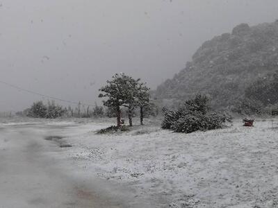Αχαϊα Κλάους