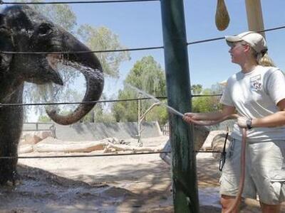 Πρωτοφανές κύμα καύσωνα στις ΗΠΑ- Στους ...