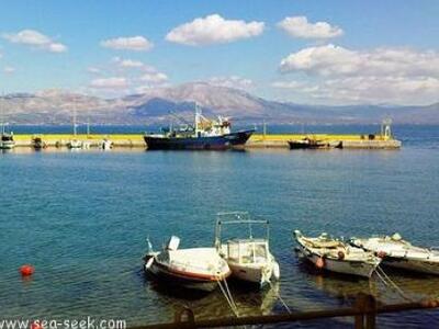 Χαλκούτσι Ωρωπού: Νέα δημοτική κοινότητα...