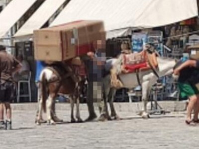 Ύδρα: Φόρτωσε ψυγείο πάνω σε γαϊδουράκι