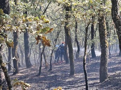 Υπό μερικό έλεγχο η φωτιά στον Αγ. Γεώργ...