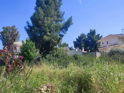 Καθαρισμοί οικοπέδων: Πότε ανοίγει η πλα...