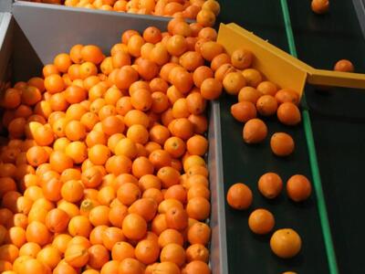 Αύξηση των εξαγωγών σε φρούτα και λαχανι...