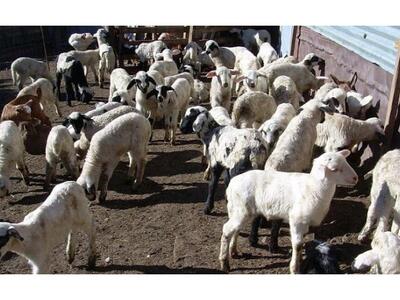 Παλιάμπελα Βόνιτσας: Άγνωστοι μπήκαν σε ...