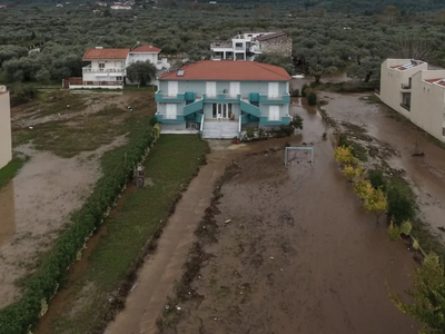 Λεπτοσπείρωση: Έξαρση μετά από καταιγίδε...