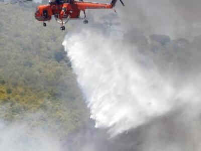 Κεφαλονιά: 80χρονος συνελήφθη ως ύποπτος...