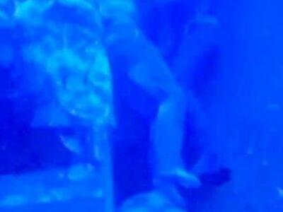 Μαζί στη ζωή και στον θάνατο! Ζευγάρι αγ...