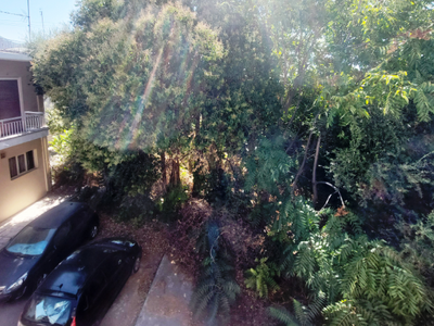 Πάτρα: Κραυγή αγωνίας από τους κατοίκους...