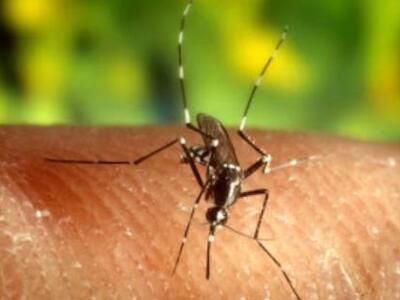 Αχαϊα: Στις περιοχές υψηλού κινδύνου για...