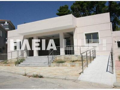 Ηλεία: Πάγωσε η μεταφορά του δήμου Ανδρί...