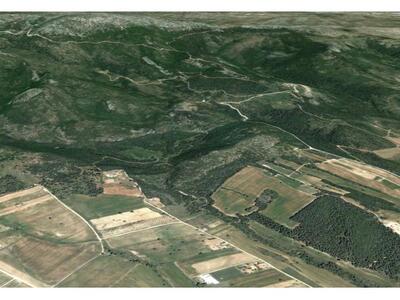 Παράταση για τις αντιρρήσεις επί των δασ...