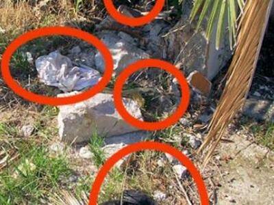 Μεσολόγγι: Το οικόπεδο που φυτρώνουν τσά...