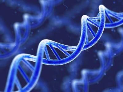 Βρείτε το σπίτι των προγόνων σας, 1.000 ...