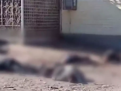 Πόλεμος στην Ουκρανία: Εκτέλεσαν πολίτες...