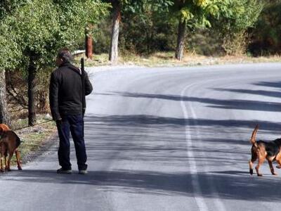 Ρεκόρ λαθροθηρίας στα Ιόνια νησιά