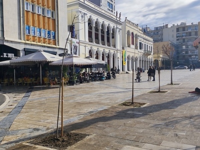 Τι απαντά ο Δήμος για τις δενδροφυτεύσει...