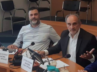 Σπύρος Σκιαδαρέσης: Δεν συζητήθηκε στο Π...