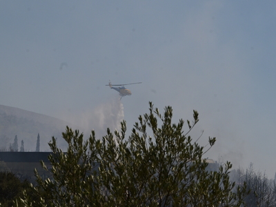 Φωτιά στον Υμηττό: Από αδήλωτα μελίσσια ...