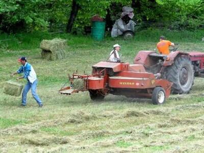 Οι Έλληνες δεν πάνε στα χωράφια