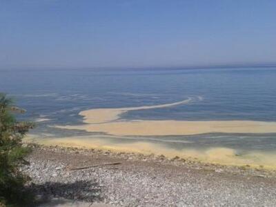 Πάτρα: Η Περιφέρεια απαγορεύει το κολύμπ...