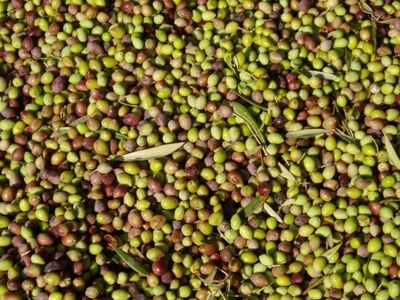 Kινητοποιήσεις κατοίκων για τα πυρηνελαιουργεία