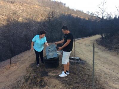 Α.Τραχήλη: Να «τρέξουν» οι  αποζημιώσεις...