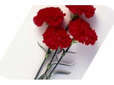 Πέθανε πριν λίγες μέρες ο Ανδρέας Νεζερί...