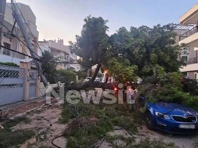 Κηφισιά: Δέντρο έπεσε πάνω σε αυτοκίνητα 