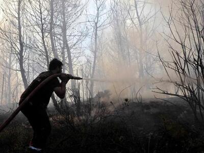 Mεγάλη φωτιά στο Δίστομο Βοιωτίας στο λό...
