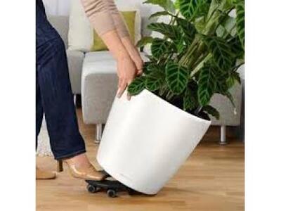 Βάρδα: Τσακώθηκαν για τις κλεμμένες γλάσ...