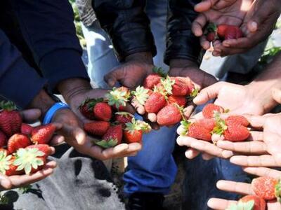 Σωματείο Εργατοϋπαλλήλων στις Εμπορικές ...