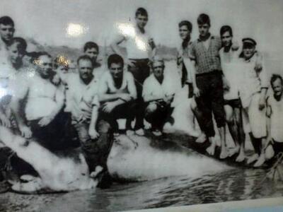 Κάτω Αχαϊα 1962