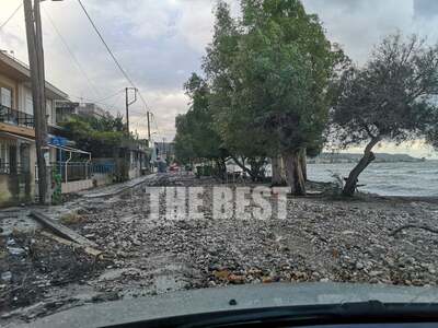 Εικόνες καταστροφής στο Μονοδένδρι- Δείτ...