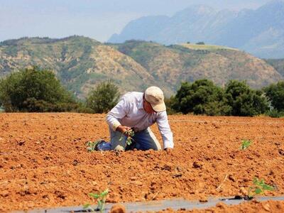 "Σαφάρι" απο τον ΟΠΕΚΕΠΕ για τ...