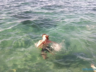 Με λαμπρότητα ο εορτασμός των Αγίων Θεοφ...