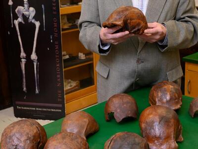 Στην Ινδονησία τα τελευταία απολιθώματα ...