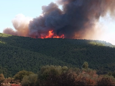 Νέα μεγάλη φωτιά στα Βίλια: Κινδυνεύουν σπίτια