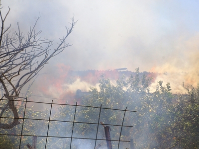 Ναύπλιο: Σε εξέλιξη φωτιά σε δασική έκτα...