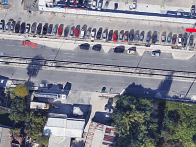 Η πορεία των ανοήτων