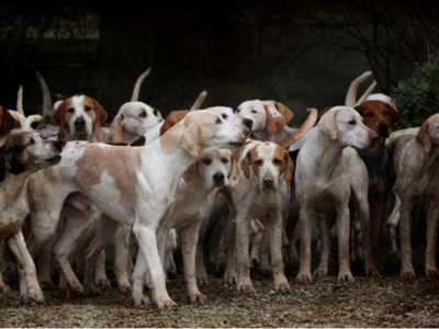 Θεσσαλονίκη: Δίωξη στην 60χρονη που είχε...