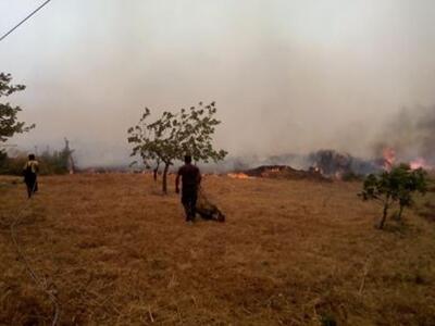 40 σπίτια κάηκαν στη Λακωνία