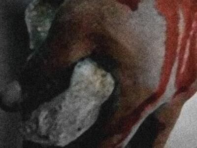 Προχωρούν στο θέατρο Σφενδόνη στην Αθήνα...