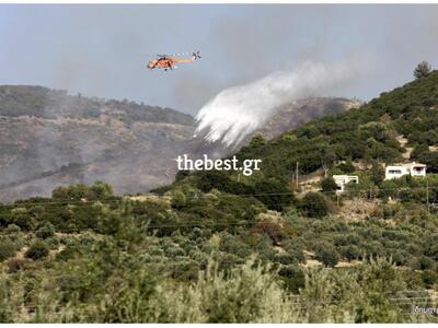 Σε ύφεση οι φωτιές σε Ανω Καλλιθέα Πατρώ...
