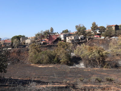 Αυτοψίες για τις φωτιές σε Κρυονέρι, Μεσ...