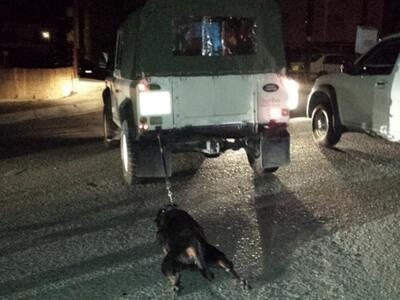 Εντοπίστηκε ο 72χρονος που είχε δέσει σκ...