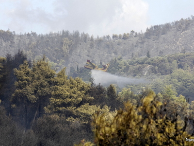 Φωτιά ΤΩΡΑ στη Νάξο